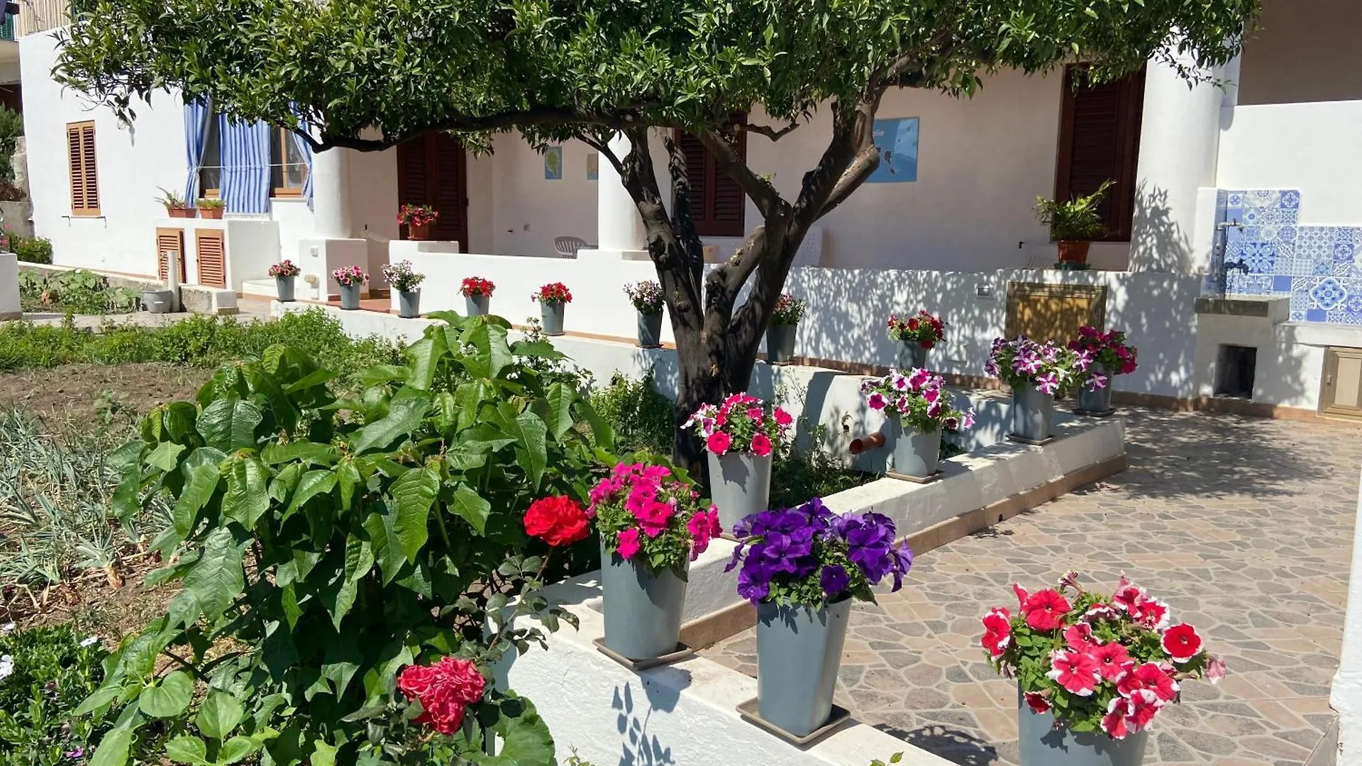 Fico D'India - Holiday Housing Apartment Lipari